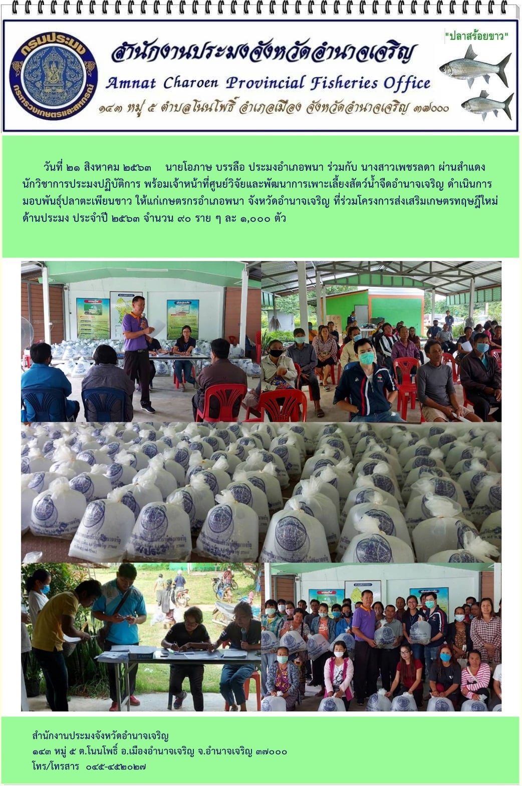 มอบปัจจัยการผลิต(ปลาตะเพียนขาว)โครงการส่งเสริมเกษตรทฤษฎีใหม่ ให้แก่เกษตรกรอำเภอพนา จังหวัดอำนาจเจริญ ด้านประมง ประจำปี 2563..คลิก