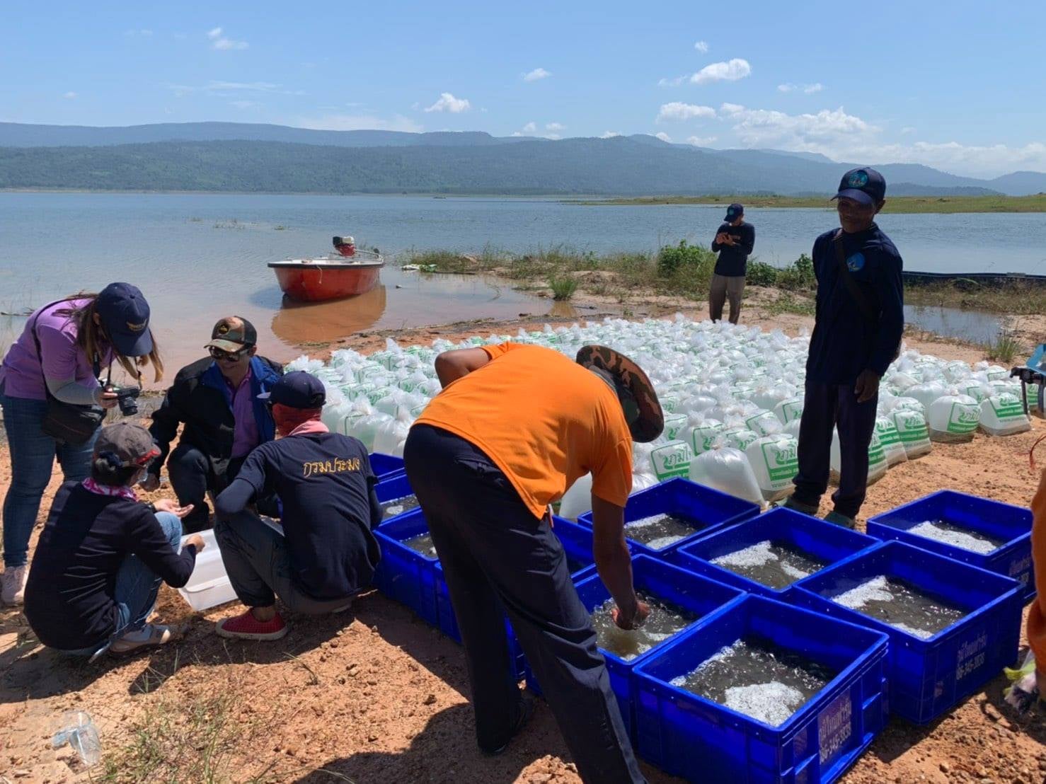 จัดกิจกรรมเพิ่มผลผลิตสัตว์น้ำ โครงการบริหารทรัพยากรสัตว์น้ำอย่างยั่งยืน อ่างเก็บน้ำนฤบดินทรจินดา ..คลิก