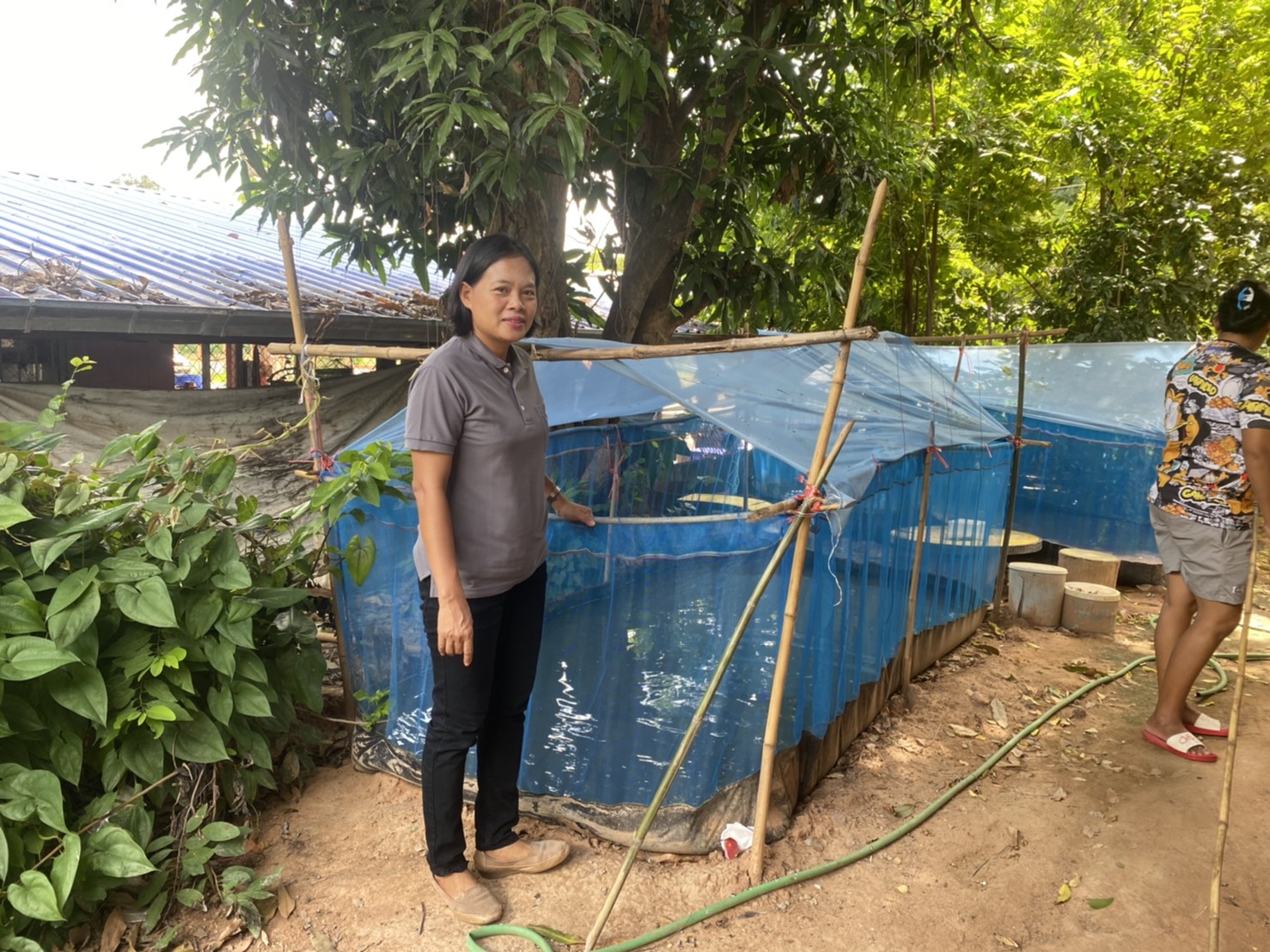 ติดตามผลผลิตและรายได้ของเกษตรกรโครงการส่งเสริมและพัฒนาอาชีพเพื่อแก้ไขปัญหาที่ดินทำกินของเกษตรกร