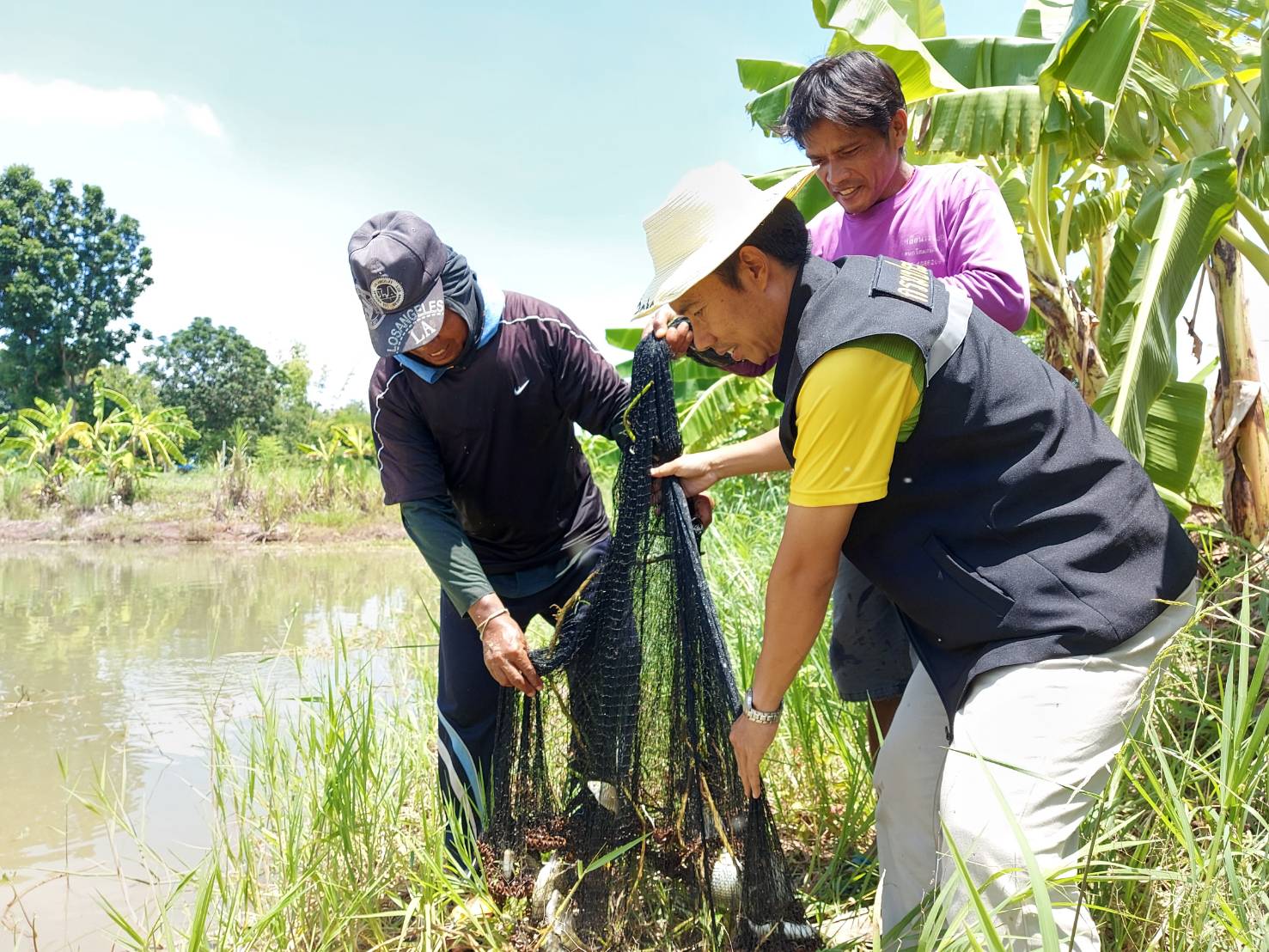 วันที่ 28 สิงหาคม 2563 นายวิทยา ประเสริฐสังข์ ประมงอำเภอโนนสังข์..คลิก