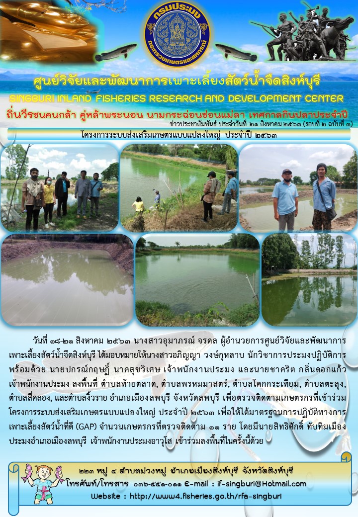 โครงการระบบส่งเสริมเกษตรแบบแปลงใหญ่ ประจำปี 2563..คลิก