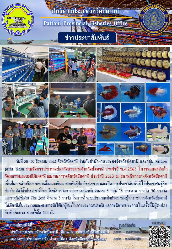 กิจกรรมการประกวดปลากัดสวยงามจังหวัดปัตตานี ประจำปี พ.ศ.2563 ในงานแสดงสินค้า วัฒนธรรมและของดีเมืองตานี และงานกาชาดจังหวัดปัตตานี ประจำปี 2563..คลิก