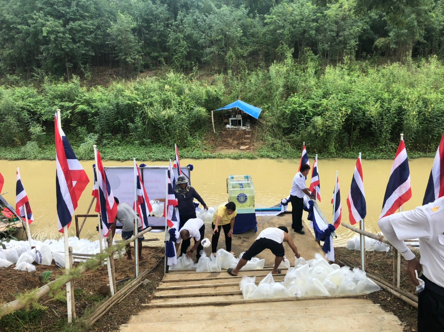 กิจกรรมปล่อยพันธุ์สัตว์น้ำออนไลน์วันประมงแห่งชาติ..คลิก