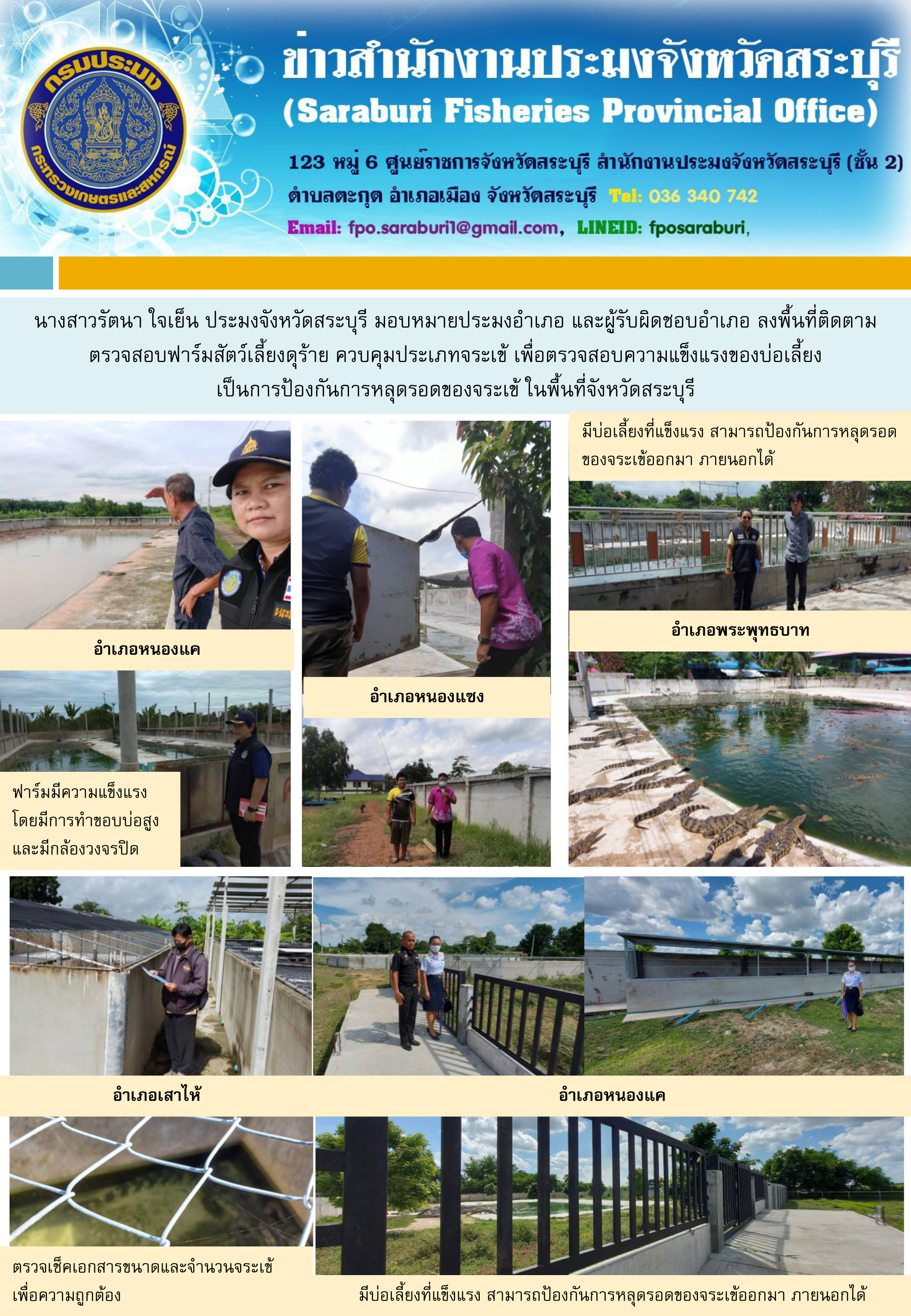 จังหวัดสระบุรี ติดตามตรวจสอบฟาร์มสัตว์เลี้ยงดุร้าย ควบคุมประเภทจระเข้ เพื่อตรวจสอบความแข็งแรงของบ่อเลี้ยง