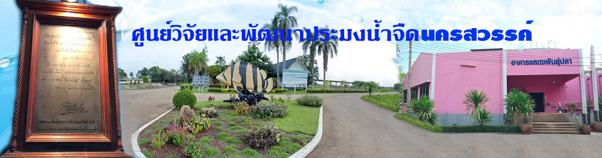 สไลด์โชว์