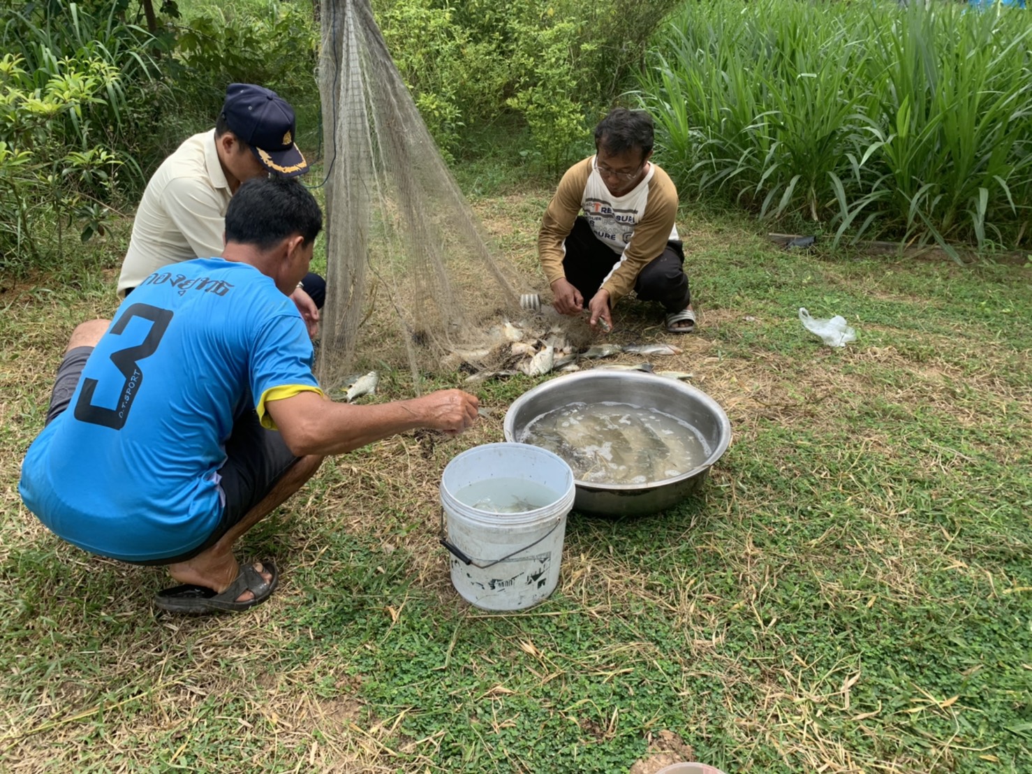 ประมงอำเภอเขื่องใน ลงพื้นที่ ตำบลหนองเหล่า ดำเนินการถอดองค์ความรู้เกษตรกรต้นแบบ โครงการบริหารจัดการการผลิตสินค้าเกษตรตามแผนที่เกษตรเพื่อการบริหารเชิงรุก (Agri Map)..คลิก
