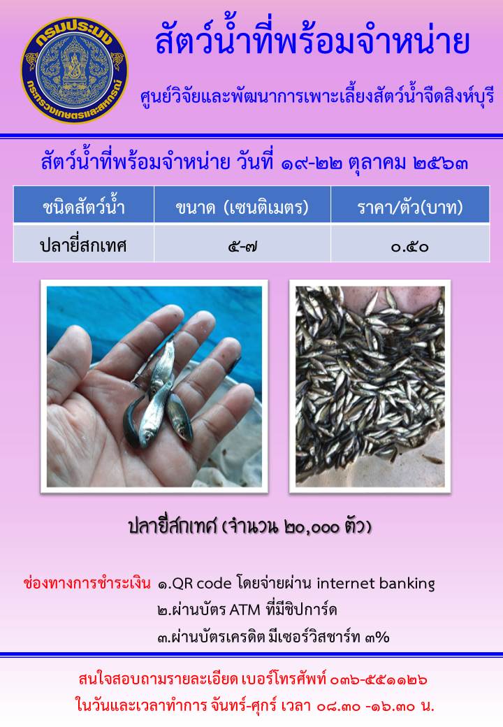 สัตว์น้ำพร้อมจำหน่าย ระหว่างวันที่ 19-22 ตุลาคม พ.ศ. 2563