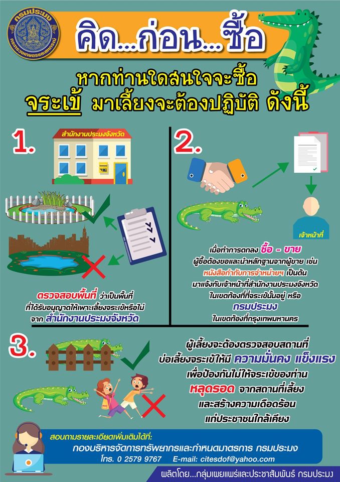 ข้อปฏิบัติในการ ซื้อ 