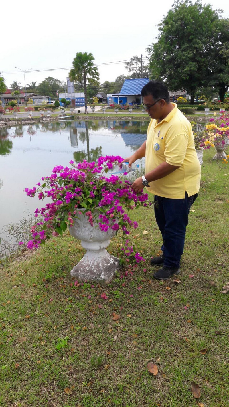 ร่วมกิจกรรมเนื่องในวันรักต้นไม้ประจำปีของชาติ พ.ศ.2563..คลิก