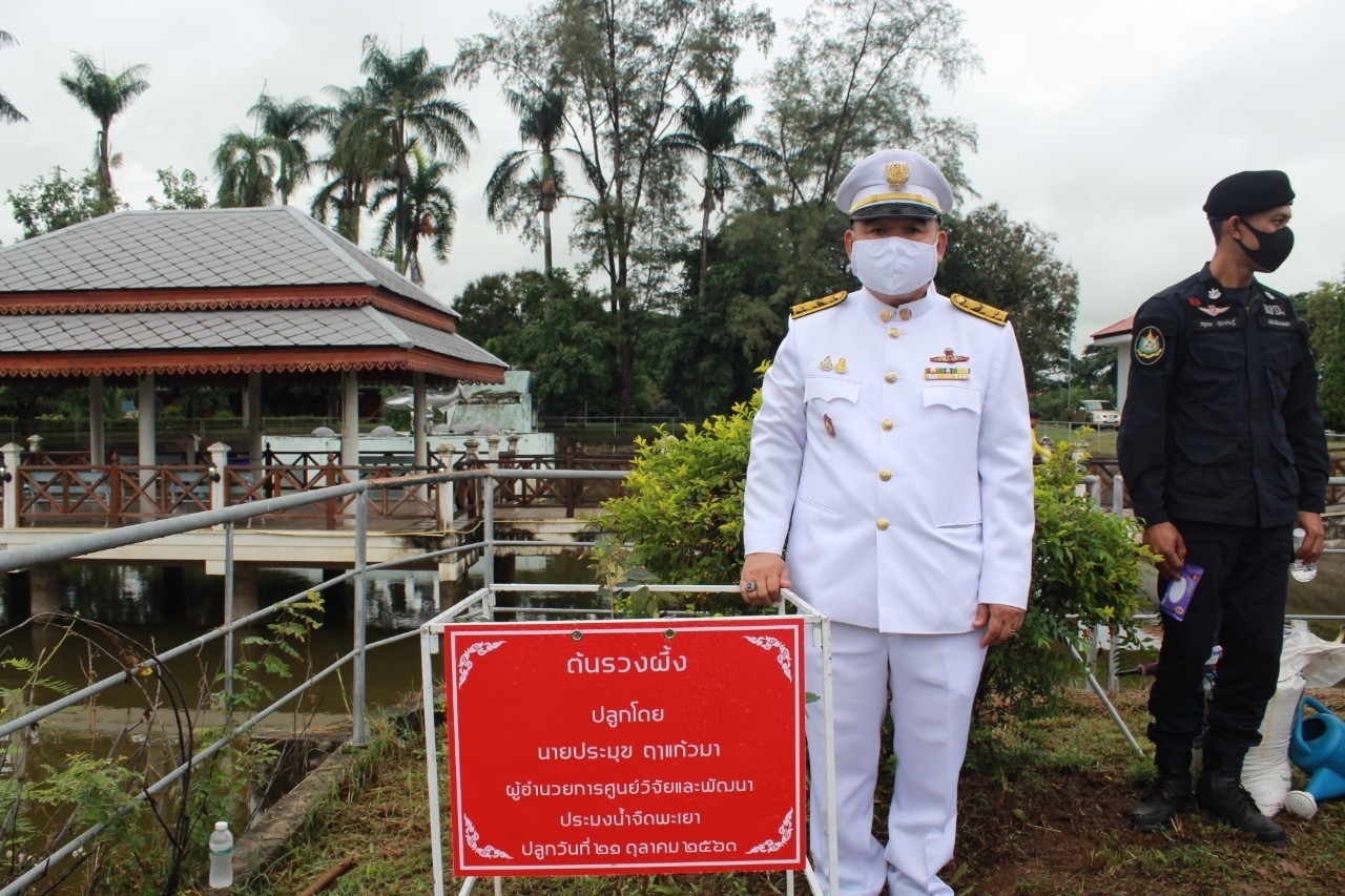 พิธีโครงการวันรักต้นไม้ประจำปีของชาติ พ.ศ. 2563..คลิก