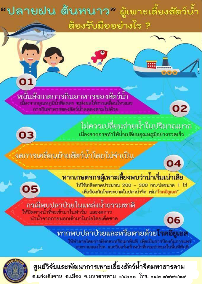 เฝ้าระวังสัตว์น้ำป่วย ช่วงปลายฝนต้นหนาว