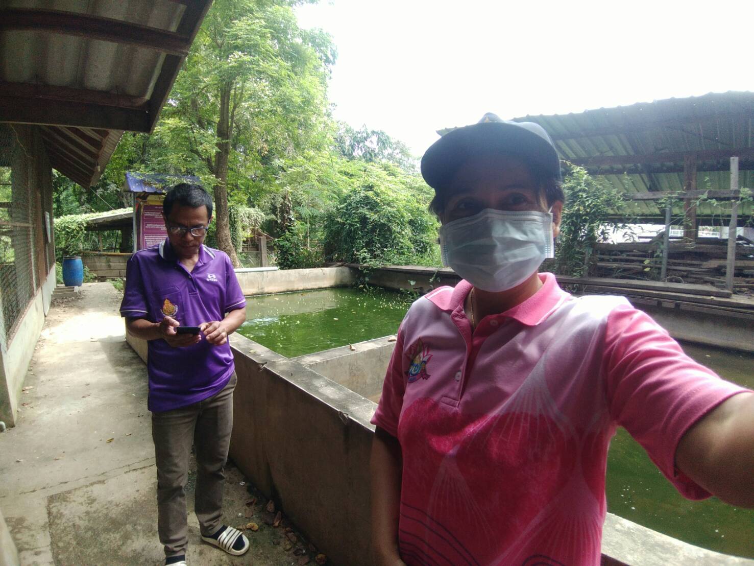 นที่ 20 ตุลาคม 2563 นางสาวมลฤดี ลิ้มสุวรรณ ประมงอำเภอศรีบุญเรือง..คลิก