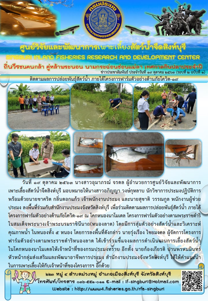 ติดตามผลการปล่อยพันธุ์สัตว์น้ำ ภายใต้โครงการฟาร์มตัวอย่างต้านภัยโควิด-19..คลิก