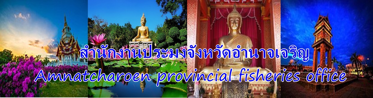 พระมงคลมิ่งเมือง แหล่งรุ่งเรืองเจ็ดลุ่มน้ำ งามล้ำถ่ำศักดิ์สิทธิ์ เทพนิมิตพระเหลา เกาะแก่งเขาแสนสวย เลอค่าด้วยผ้าไหม ราษฎ์เลื่อมใสไฝ่ธรรม..คลิก