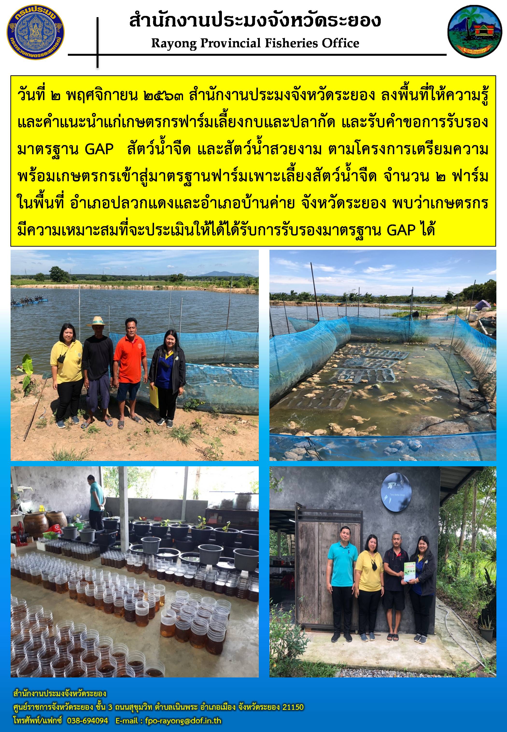 สำนักงานประมงจังหวัดระยอง ลงพื้นที่ให้ความรู้และคำแนะนำแก่เกษตรกรฟาร์มเลี้ยงกบและปลากัด..คลิก