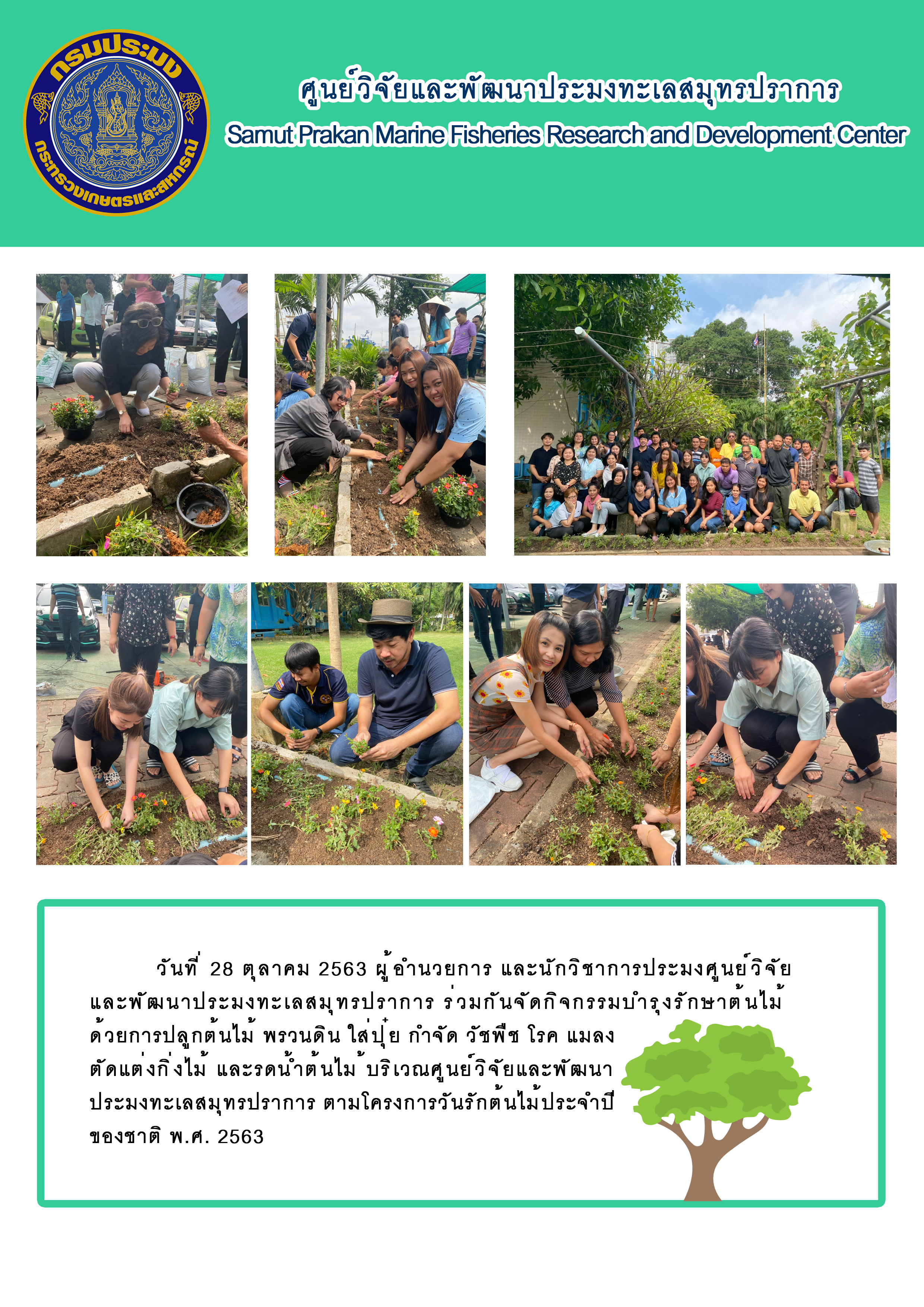 ผู้อำนวยการ และนักวิชาการประมงศูนย์วิจัยและพัฒนาประมงทะเลสมุทรปราการ ร่วมกันจัดกิจกรรมบำรุงรักษาต้นไม่ด้วยการปลูกต้นไม้..คลิก