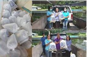 กิจกรรมเกษตรทฤษฎีใหม่ด้านการประมง..คลิก