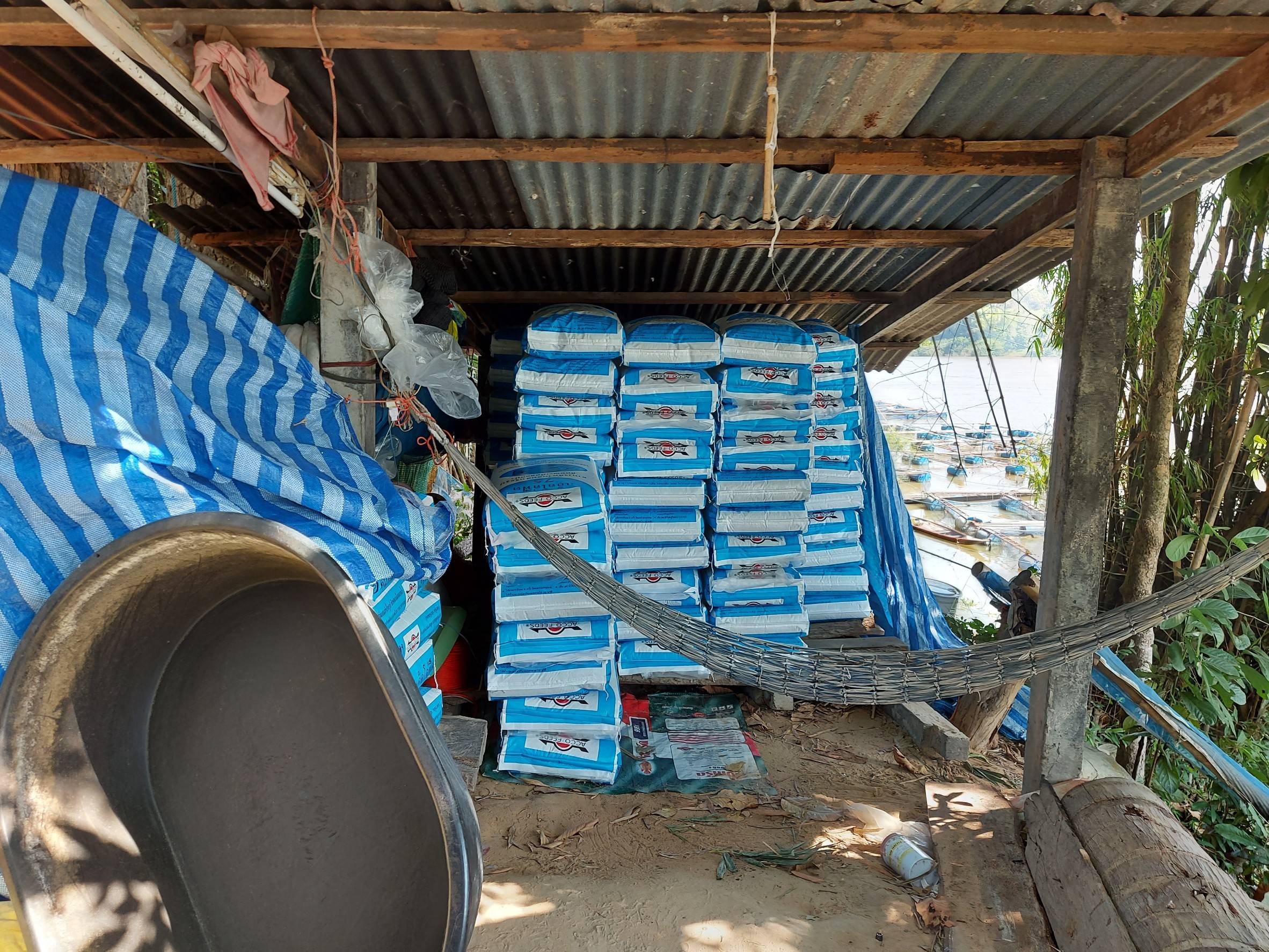 ประมงอำเภอวารินชำราบ ลงพื้นที่ดำเนินการคัดเลือกเกษตรกรเพื่อเข้าร่วมกิจกรรมเตรียมความพร้อมเข้าสู่มาตรฐานฟาร์มเพาะเลี้ยงสัตว์น้ำ ประจำปีงบประมาณ 2564..คลิก