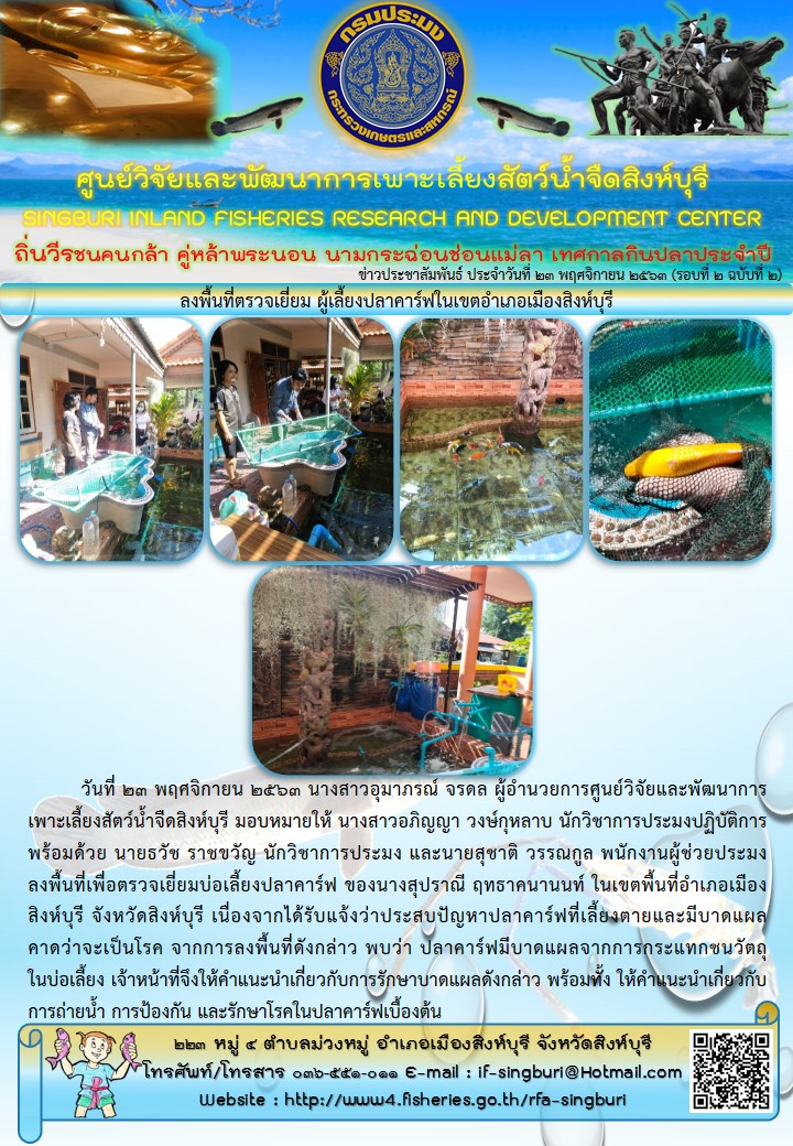 ลงพื้นที่ตรวจเยี่ยม ผู้เลี้ยงปลาคาร์ฟในเขตอำเภอเมืองสิงห์บุรี..คลิก
