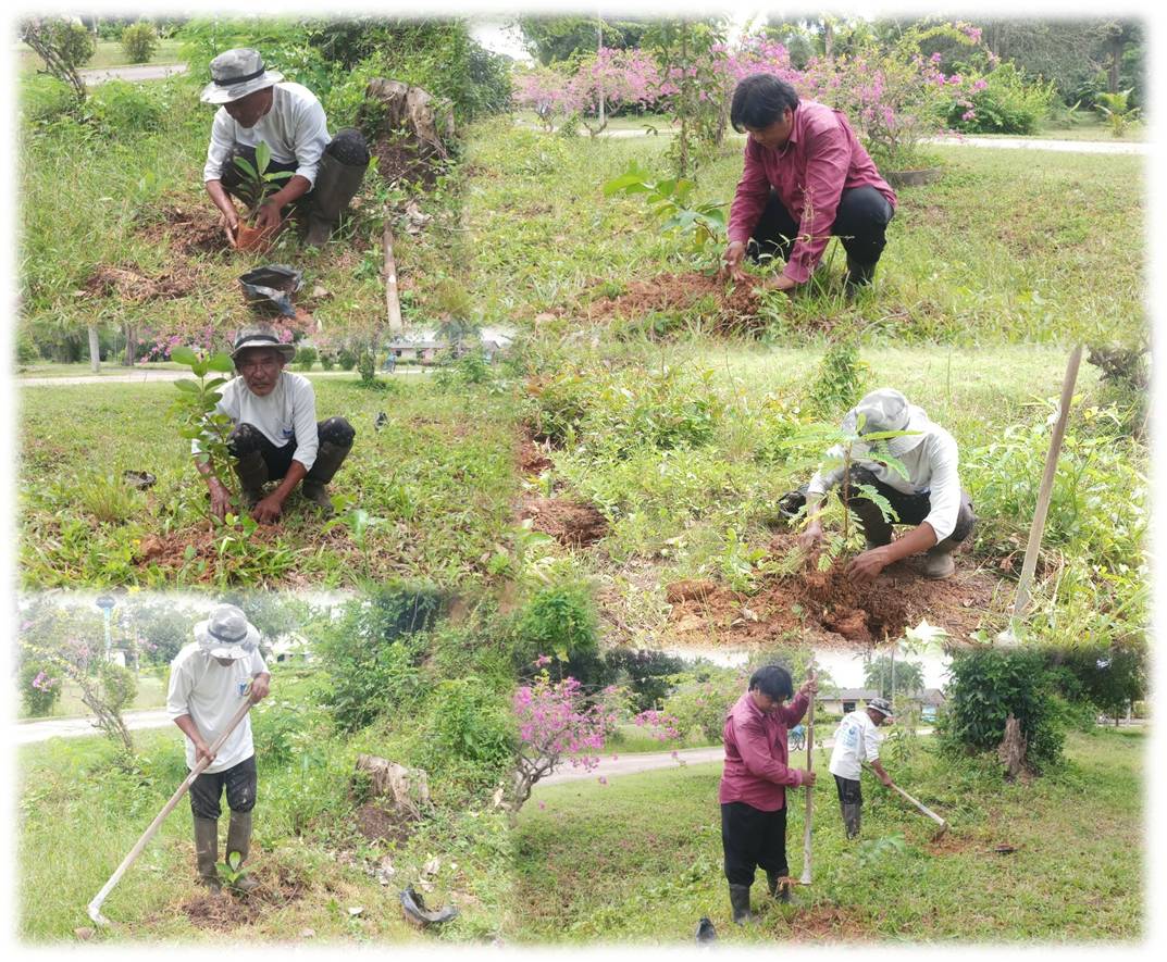 โครงการ “วันรักต้นไม้ประจำปีของชาติ” ประจำปี 2563..คลิก