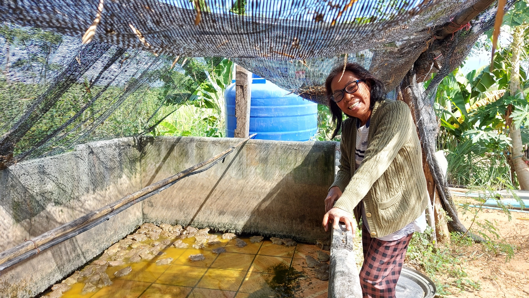 วันที่ 26 พฤศจิกายน 2563 นางสาวมลฤดี ลิ้มสุวรรณ ประมงอำเภอศรีบุญเรือง..คลิก