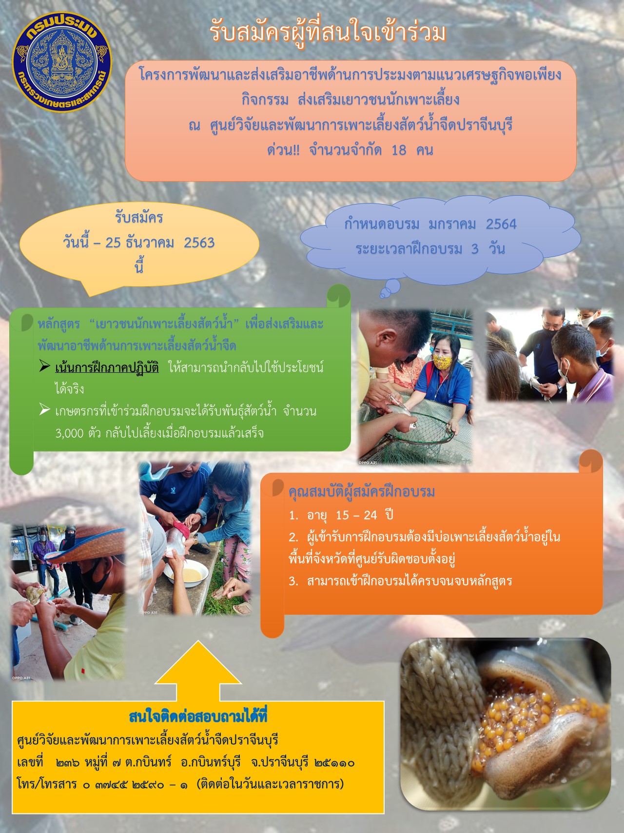 รับสมัครผู้ที่สนใจเข้าร่วม โครงการพัฒนาและส่งเสริมอาชีพด้านการประมงตามแนวเศรษฐกิจพอเพียง กิจกรรม  ส่งเสริมเยาวชนนักเพาะเลี้ยง..คลิก