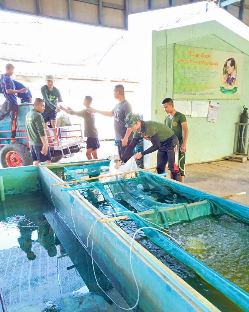 การอบรมหลักสูตรการเพาะเลี้ยงพันธุ์ปลาน้ำจืด..คลิก