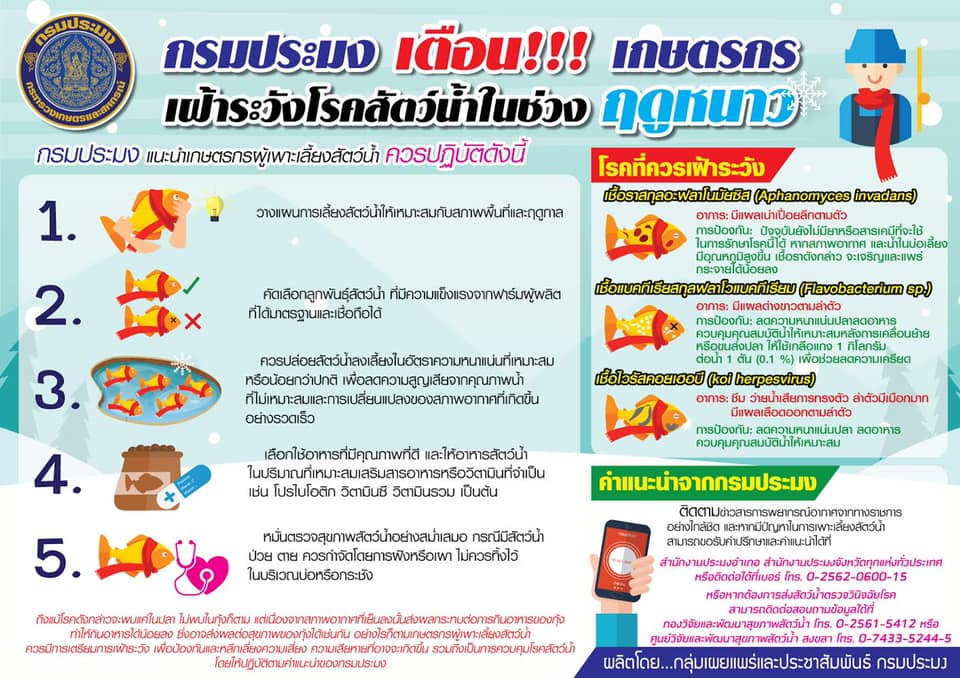 การเฝ้าระวังโรคสัตว์น้ำ ในช่วงฤดูหนาว..คลิก