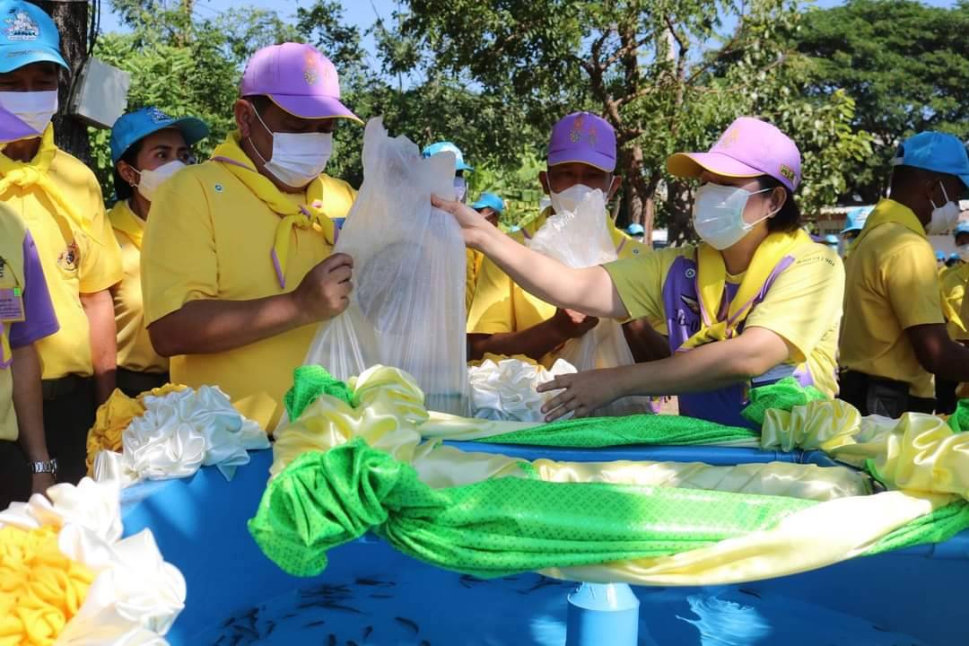 กิจกรรมจิตอาสา 