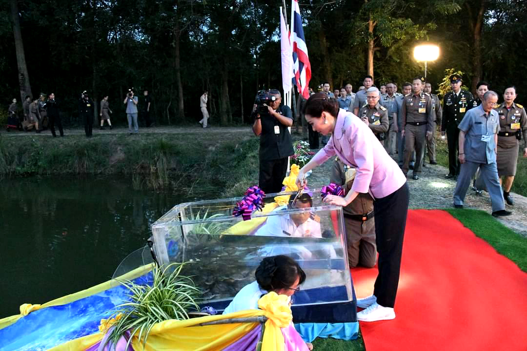 กรมประมงส่วนภูมิภาคจังหวัดสระบุรี เฝ้ารับเสด็จ สมเด็จพระนางเจ้าฯ พระบรมราชินี  เสด็จพระราชดำเนินเป็นการส่วนพระองค์ทรงเยี่ยมโครงการพัฒนาพื้นที่บริเวณวัดมงคลชัยพัฒนา อันเนื่องมาจากพระราชดำริ