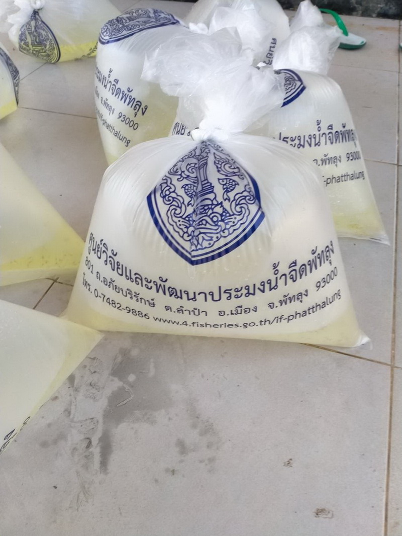 สนับสนุนพันธุ์กุ้งก้ามกราม เพื่อปล่อยลงนาข้าวของศูนย์เรียนรู้ ทัณฑสถานเปิดบ้านนาวง จังหวัดพัทลุง..คลิก
