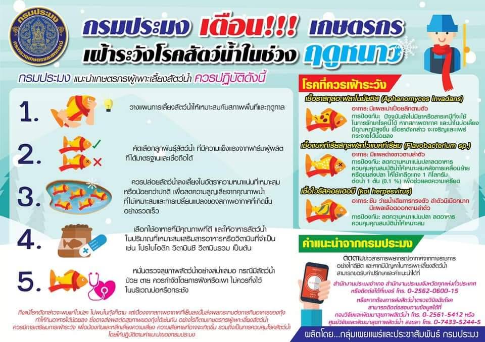กรมประมงเตือนเกษตรกรผู้เพาะเลี้ยงเฝ้าระวังโรคสัตว์น้ำในช่วงฤดูหนาว