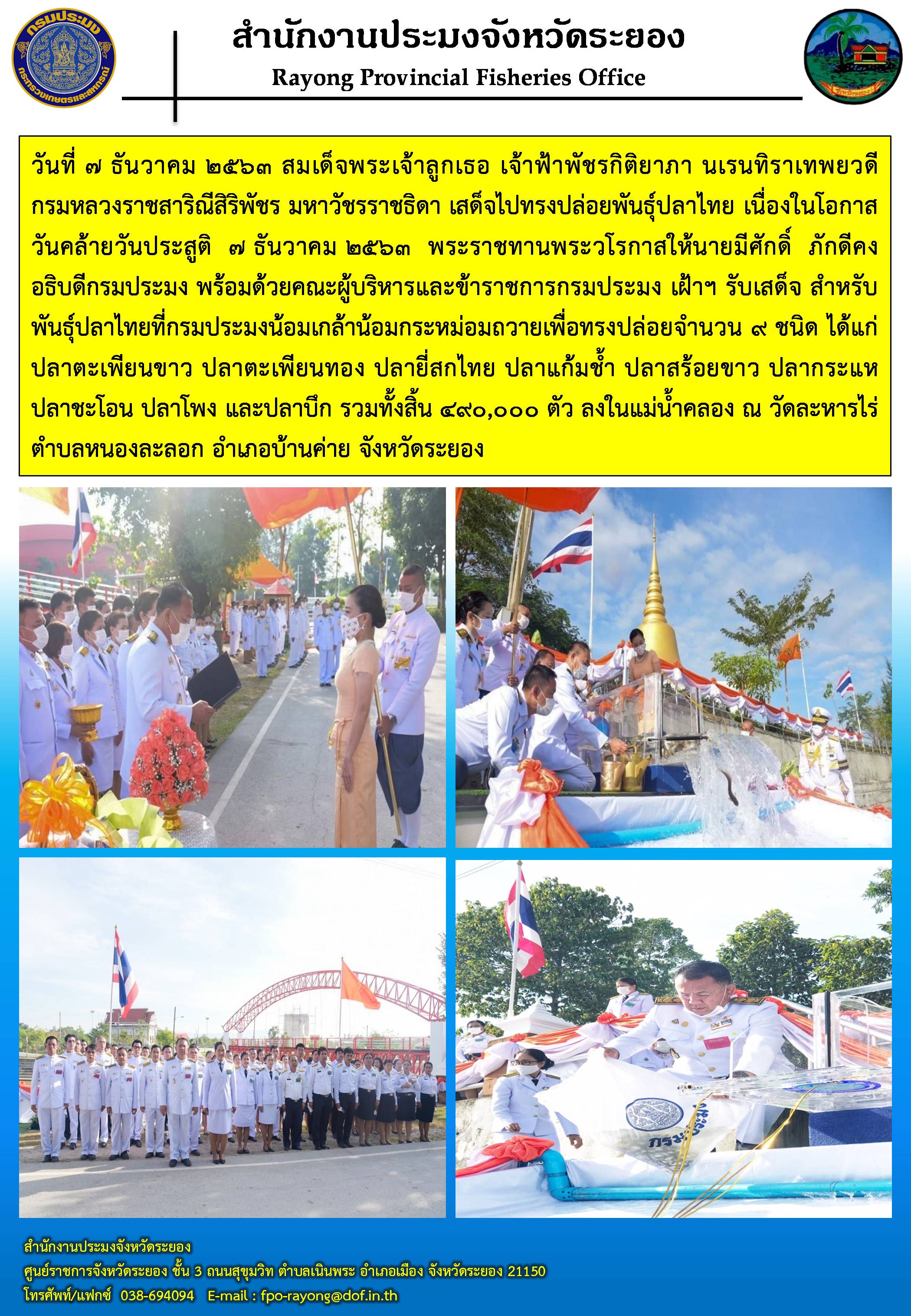 สมเด็จพระเจ้าลูกเธอ เจ้าฟ้าพัชรกิติยาภา นเรนทิราเทพยวดี กรมหลวงราชสาริณีสิริพัชร มหาวัชรราชธิดา เสด็จไปทรงปล่อยพันธุ์ปลาไทย เนื่องในโอกาส  วันคล้ายวันประสูติ  ๗ ธันวาคม ๒๕๖๓