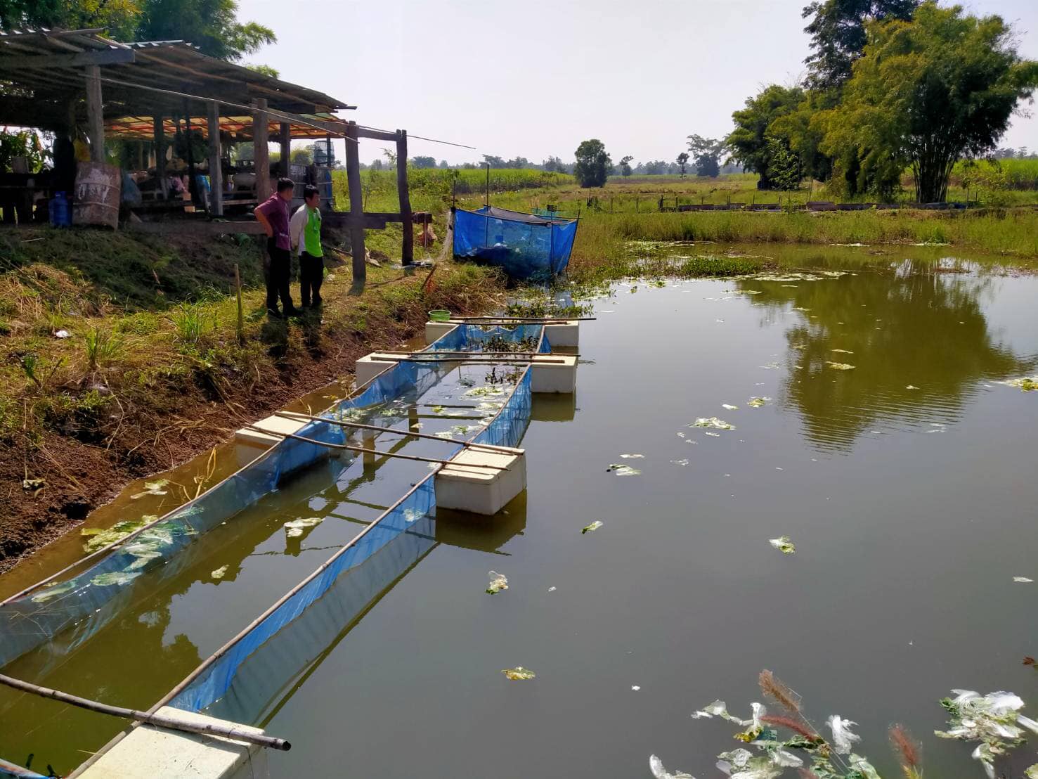 วันที่ 9 ธันวาคม 2563 นายชัยพร มังคะละแสน ประมงอำเภอนากลาง และนายสุชิน มิ่งไชย นักวิชาการประมงปฏิบัติการ..คลิก