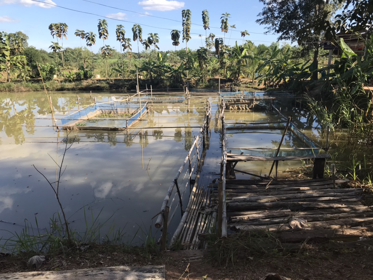 วันที่ 17 ธันวาคม 2563 นางสาวมลฤดี ลิ้มสุวรรณ ประมงอำเภอศรีบุญเรือง..คลิก