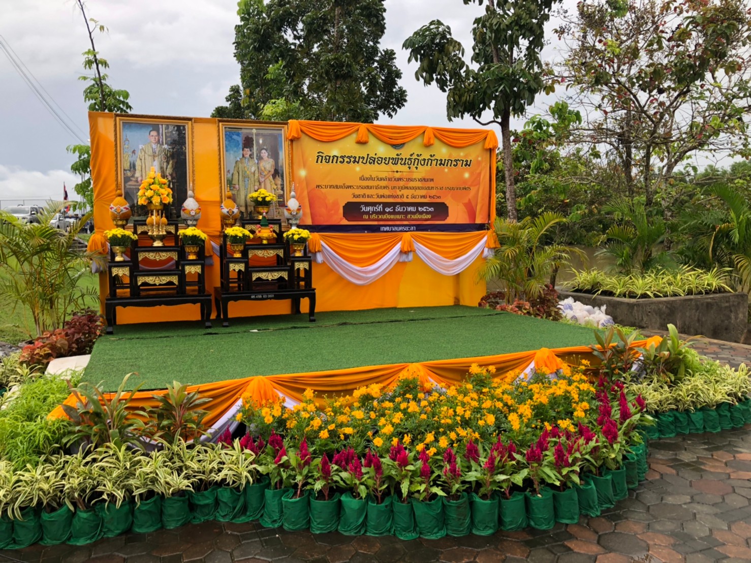 กิจกรรมปล่อยพันธุ์กุ้งก้ามกราม ณ บึงแบเมาะ สวนมิ่งเมือง..คลิก