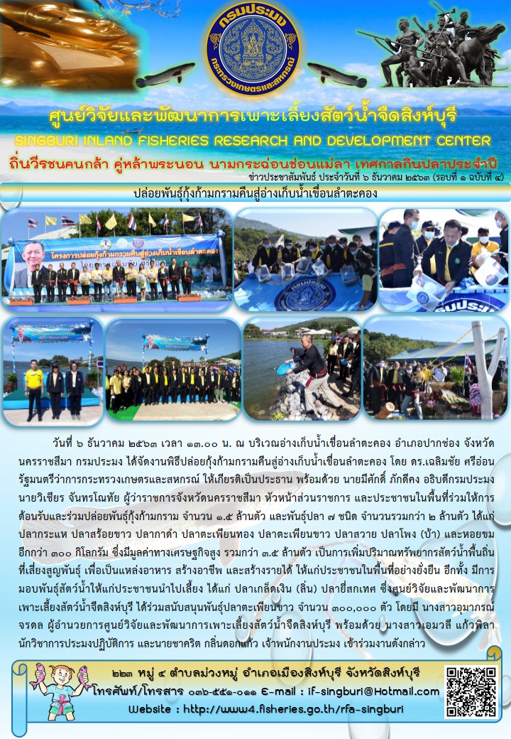 ปล่อยพันธุ์กุ้งก้ามกรามคืนสู่อ่างเก็บน้ำเขื่อนลำตะคอง..คลิก