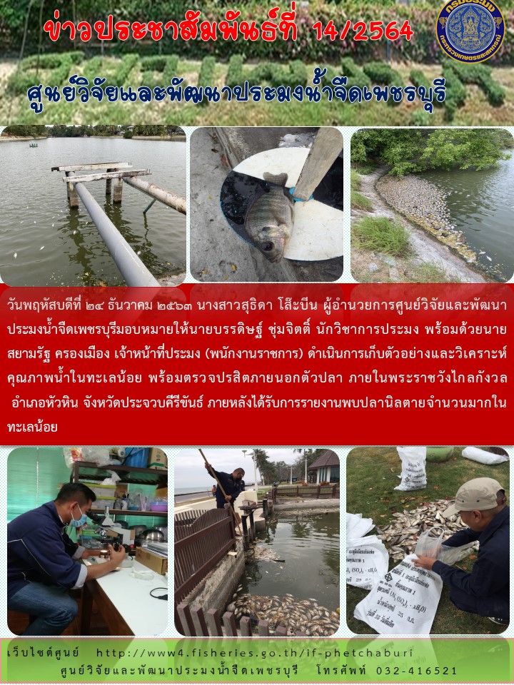 ข่าวประชาสัมพันธ์ครั้งที่ 14/2564..คลิก