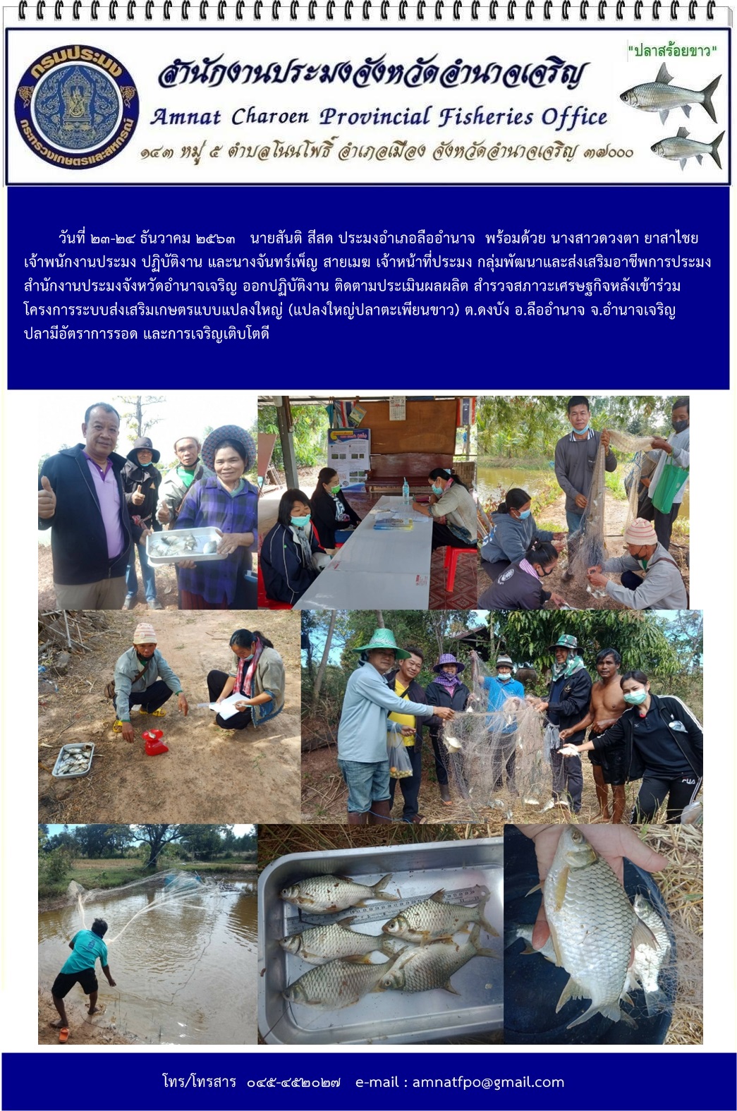 ติดตามประเมินผลผลิต สำรวจสภาวะเศรษฐกิจหลังเข้าร่วมโครงการระบบส่งเสริมเกษตรแบบแปลงใหญ่ (แปลงใหญ่ปลาตะเพียนขาว)  ต.ดงบัง  อ.ลืออำนาจ  จ.อำนาจเจริญ..คลิก