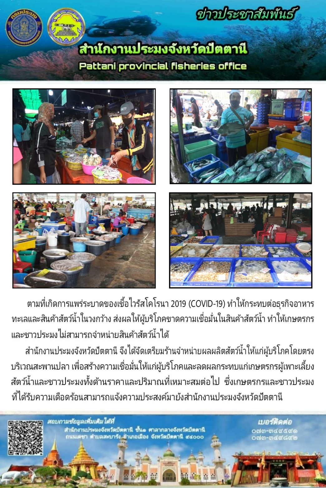 สำนักงานประมงจังหวัดปัตตานี จัดพื้นที่จำหน่ายผลผลิตสัตว์น้ำให้แก่ผู้บริโภคโดยตรง เพื่อสร้างความเชื่อมั่นให้แก่ผู้บริโภคต่อการแพร่ระบาดของเชื้อไวรัสโคโรนา 2019 (COVID-19)..คลิก