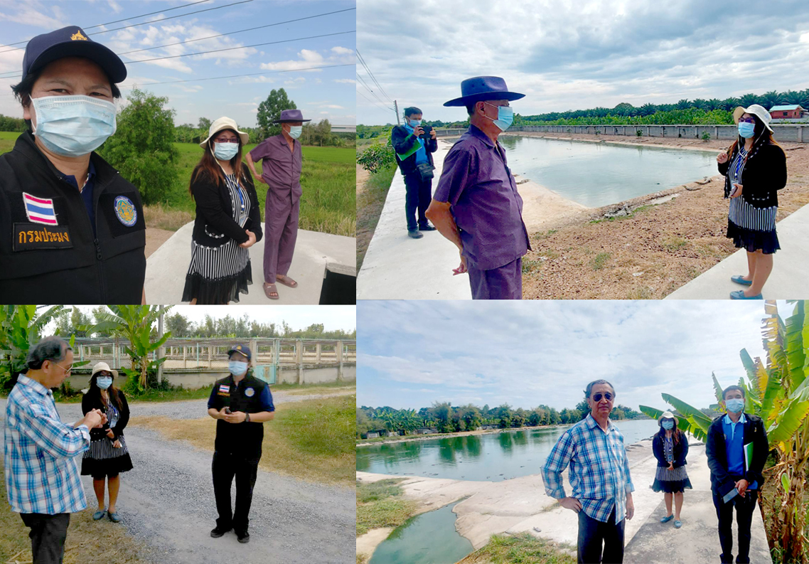ประมงอำเภอหนองแค ร่วมกับศูนย์วิจัยและพัฒนาการเพาะเลี้ยงสัตว์น้ำจืดสระบุรี บูรณาการ ออกตรวจเยี่ยมฟาร์มเลี้ยงสัตว์น้ำควบคุมประเภทการเพาะเลี้ยงจระข้