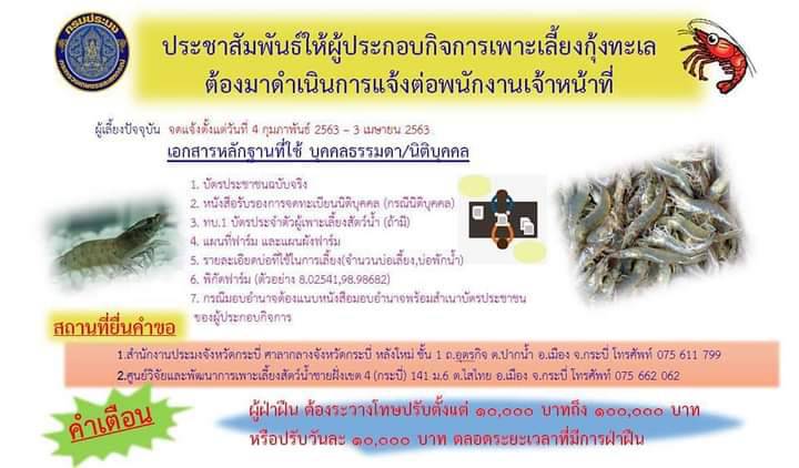 ประชาสัมพันธ์ให้ผู้ประกอบกิจการเพาะเลี้ยงกุ้งทะเลต้องมาดำเนินงานแจ้งต่อพนักงานเจ้าหน้าที่ี่..คลิก