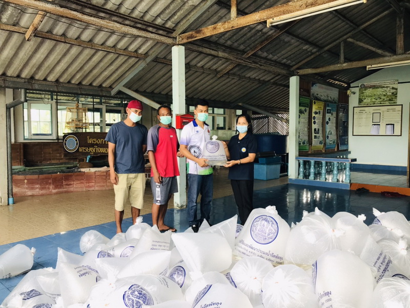 สนับสนุนพันธุ์ปลากินพืช เพื่อปล่อยลงสู่ทะเลสาบสงขลา พื้นที่จังหวัดพัทลุง..คลิก
