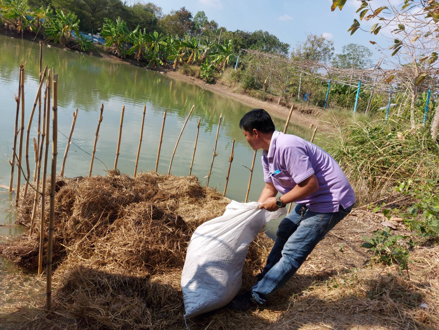 กิจกรรมหนึ่งตำบล หนึ่งถนน กินได้ปลอดภัย ของหน่อยงานพฒนาชุมชนอำเภอเสาไห้ และกิจกรรมโคก หนองนา โมเดล