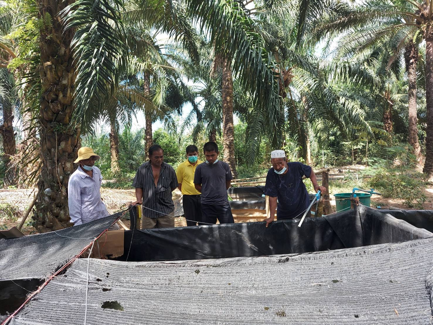 นำเกษตรกรผู้เพาะเลี้ยงสัตว์น้ำพื้นที่คุระบุรี  เยี่ยมชมการเลี้ยงหอยขมในบ่อปลานิล..คลิก