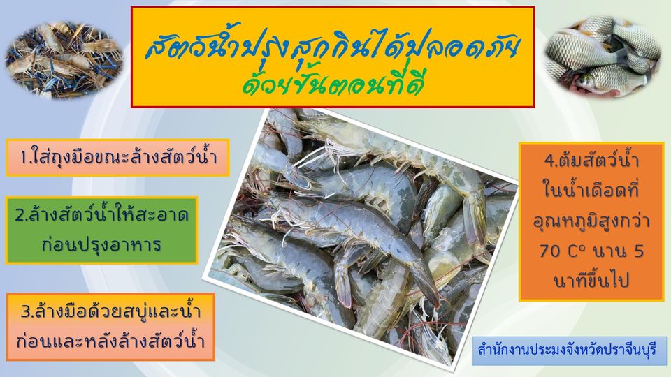ข่าวสารประชาสัมพันธ์ สัตว์น้ำ ปรุงสุกทานได้ ปลอดภัย จากเชื้อ (โควิด-19)  ตามขั้นตอนการปฎิบัติ ดังนี้..คลิก