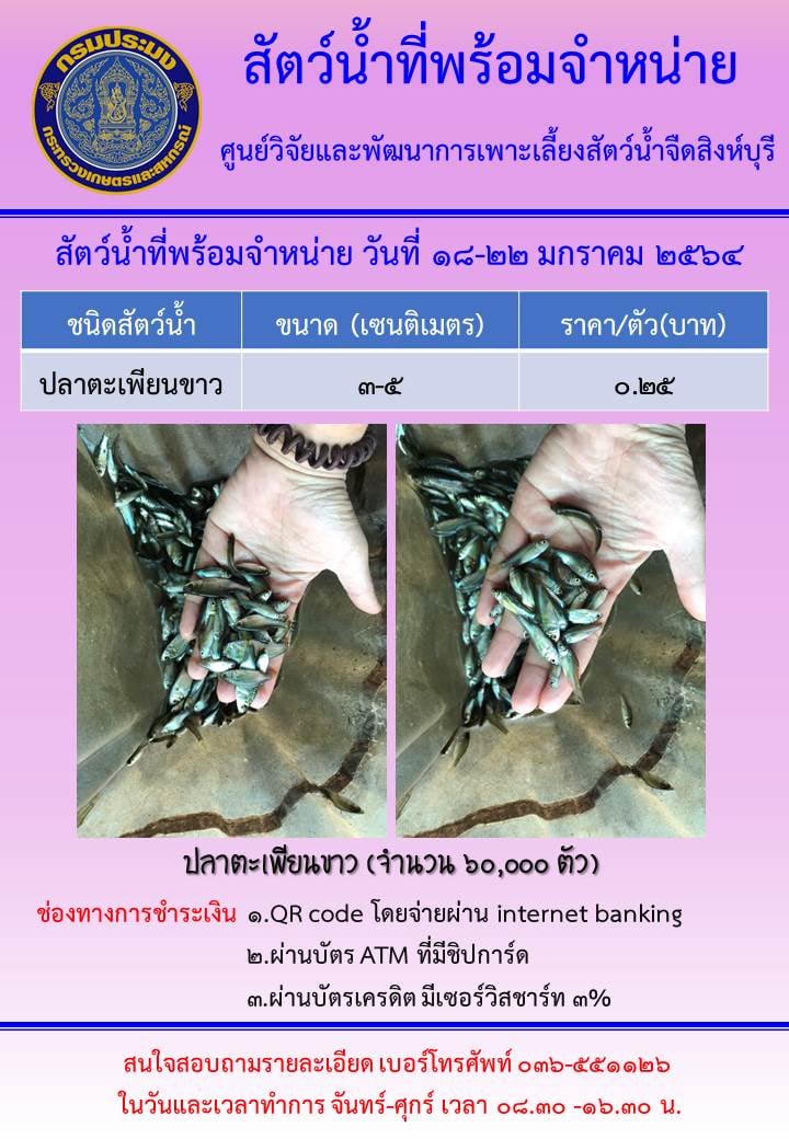 สัตว์น้ำที่พร้อมจำหน่ายวันที่ 18 - 22 มกราคม พ.ศ. 2564..คลิก