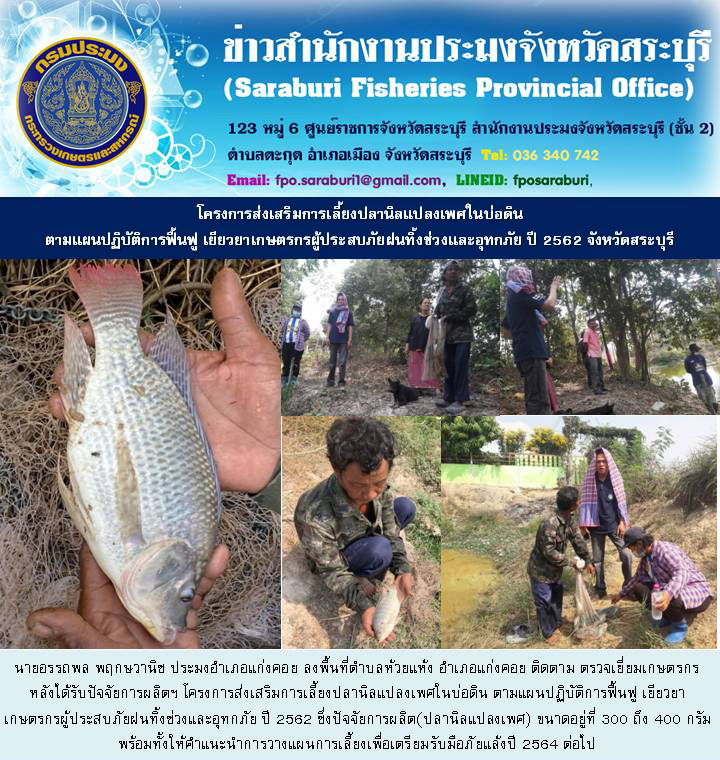 ติดตามโครงการส่งเสริมการเลี้ยงปลานิลแปลงเพศในบ่อดิน ตามแผนปฏิบัติการฟื้นฟู เยียวยา เกษตรกรผู้ประสบภัยฝนทิ้งช่วงและอุทกภัย ปี 2562 จังหวัดสระบุรี