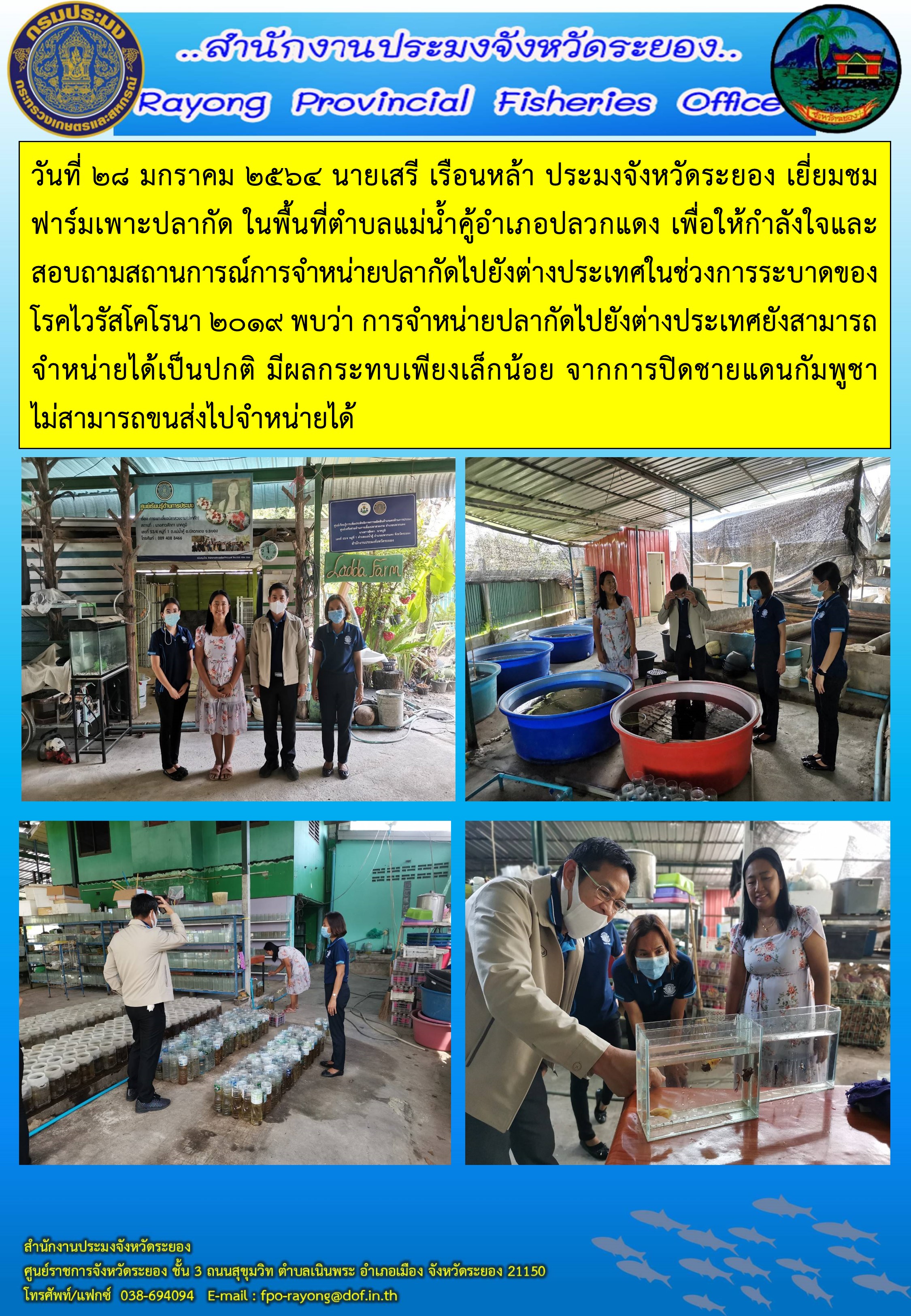 นายเสรี เรือนหล้า ประมงจังหวัดระยอง เยี่ยมชมฟาร์มเพาะปลากัด ในพื้นที่ตำบลแม่น้ำคู้อำเภอปลวกแดง
