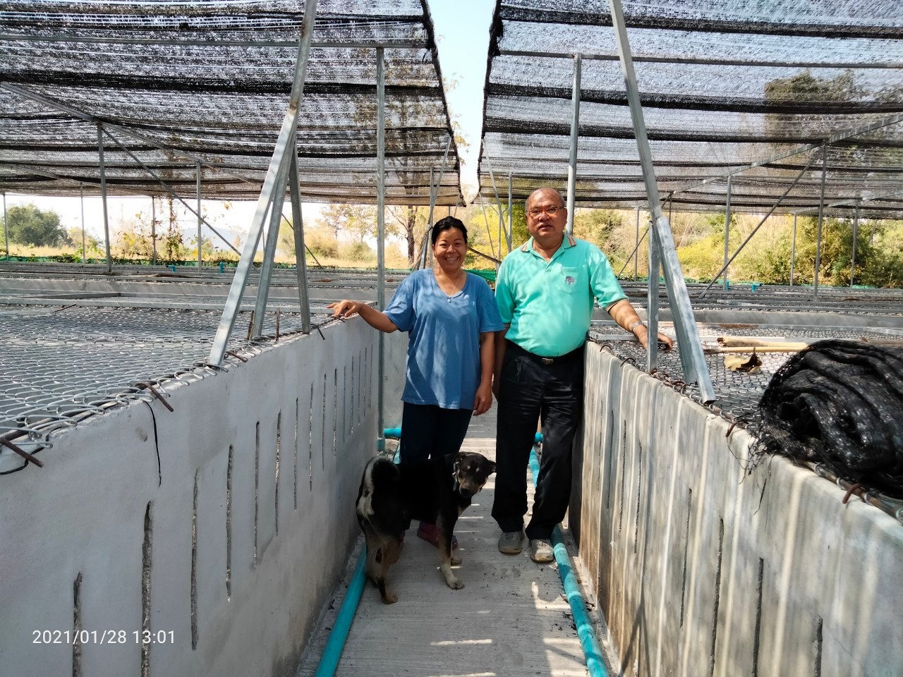 วันที่ 28 มกราคม 2564 นายบุญหลาย  กุลนารัตน์ ประมงจังหวัดหนองบัวลำภู  มอบหมายให้ นายสมจิตร์ พงษ์ภุมมา หัวหน้ากลุ่มบริหารจัดการด้านการประมง..คลิก